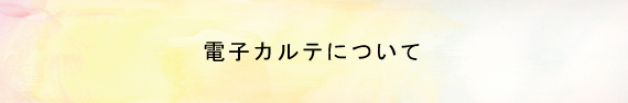 電子カルテについて